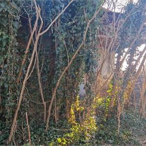 Rustico/Casale In Vendita a Mozzecane